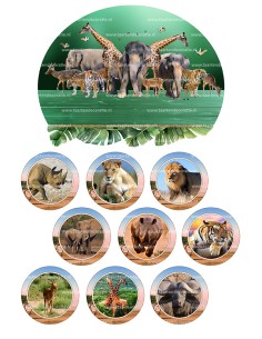 DIY Taarttopper Dierentuin 2 - 16cm 2