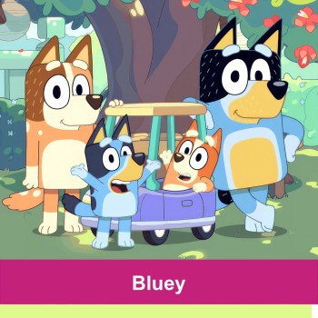 DIY Bluey